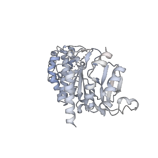 29352_8fok_A_v1-0
Cryo-EM structure of S. cerevisiae DNA polymerase alpha-primase complex in the DNA elongation state