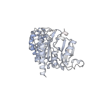 29352_8fok_A_v1-1
Cryo-EM structure of S. cerevisiae DNA polymerase alpha-primase complex in the DNA elongation state