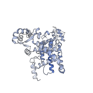 29352_8fok_B_v1-0
Cryo-EM structure of S. cerevisiae DNA polymerase alpha-primase complex in the DNA elongation state
