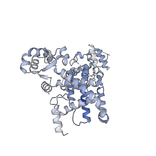 29352_8fok_B_v1-1
Cryo-EM structure of S. cerevisiae DNA polymerase alpha-primase complex in the DNA elongation state