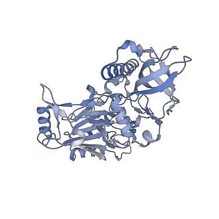 29352_8fok_C_v1-0
Cryo-EM structure of S. cerevisiae DNA polymerase alpha-primase complex in the DNA elongation state