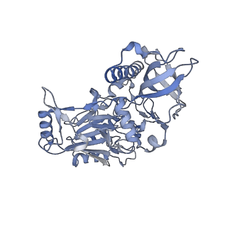 29352_8fok_C_v1-1
Cryo-EM structure of S. cerevisiae DNA polymerase alpha-primase complex in the DNA elongation state