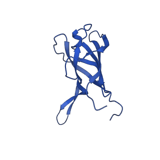 29353_8fop_B_v1-1
Structure of Agrobacterium tumefaciens bacteriophage Milano curved tail