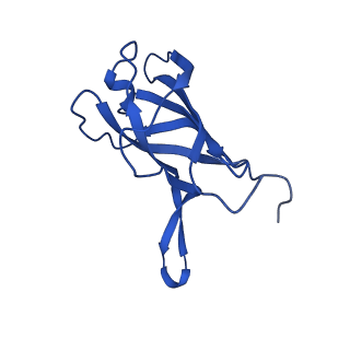 29353_8fop_C_v1-0
Structure of Agrobacterium tumefaciens bacteriophage Milano curved tail
