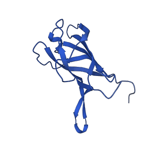 29353_8fop_C_v1-1
Structure of Agrobacterium tumefaciens bacteriophage Milano curved tail