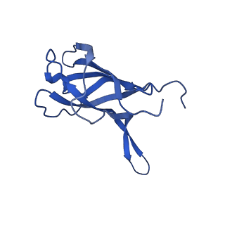 29353_8fop_D_v1-0
Structure of Agrobacterium tumefaciens bacteriophage Milano curved tail