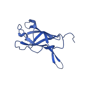 29353_8fop_E_v1-0
Structure of Agrobacterium tumefaciens bacteriophage Milano curved tail