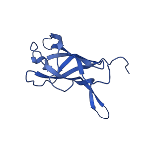 29353_8fop_E_v1-1
Structure of Agrobacterium tumefaciens bacteriophage Milano curved tail