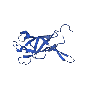 29353_8fop_F_v1-0
Structure of Agrobacterium tumefaciens bacteriophage Milano curved tail