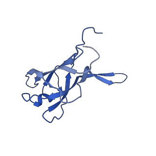 29353_8fop_G_v1-0
Structure of Agrobacterium tumefaciens bacteriophage Milano curved tail