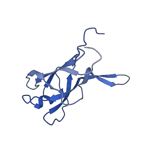 29353_8fop_G_v1-1
Structure of Agrobacterium tumefaciens bacteriophage Milano curved tail