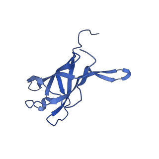 29353_8fop_H_v1-0
Structure of Agrobacterium tumefaciens bacteriophage Milano curved tail