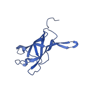 29353_8fop_H_v1-1
Structure of Agrobacterium tumefaciens bacteriophage Milano curved tail