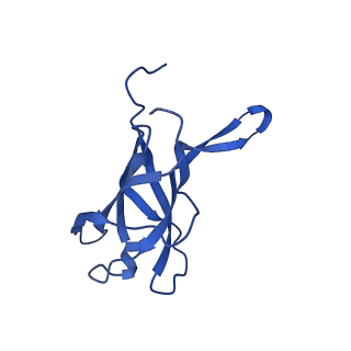 29353_8fop_I_v1-0
Structure of Agrobacterium tumefaciens bacteriophage Milano curved tail