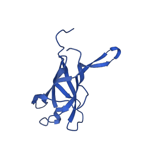 29353_8fop_I_v1-1
Structure of Agrobacterium tumefaciens bacteriophage Milano curved tail