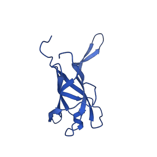 29353_8fop_J_v1-0
Structure of Agrobacterium tumefaciens bacteriophage Milano curved tail