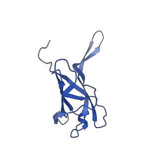 29353_8fop_K_v1-0
Structure of Agrobacterium tumefaciens bacteriophage Milano curved tail