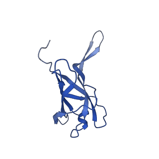 29353_8fop_K_v1-1
Structure of Agrobacterium tumefaciens bacteriophage Milano curved tail