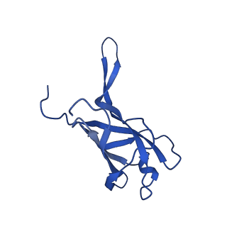 29353_8fop_L_v1-0
Structure of Agrobacterium tumefaciens bacteriophage Milano curved tail