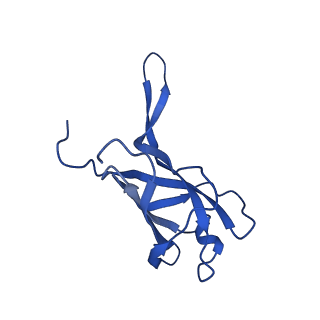 29353_8fop_L_v1-1
Structure of Agrobacterium tumefaciens bacteriophage Milano curved tail