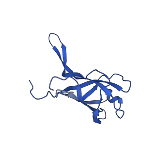 29353_8fop_M_v1-0
Structure of Agrobacterium tumefaciens bacteriophage Milano curved tail