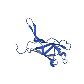 29353_8fop_M_v1-1
Structure of Agrobacterium tumefaciens bacteriophage Milano curved tail