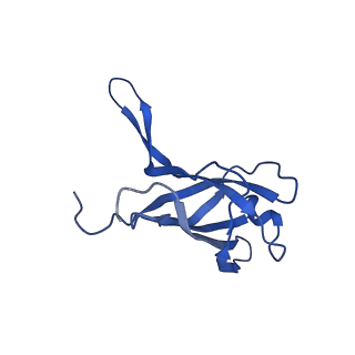 29353_8fop_N_v1-0
Structure of Agrobacterium tumefaciens bacteriophage Milano curved tail