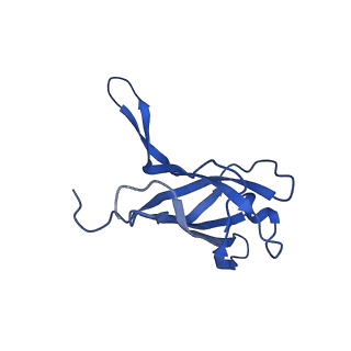 29353_8fop_N_v1-1
Structure of Agrobacterium tumefaciens bacteriophage Milano curved tail