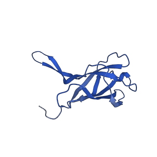 29353_8fop_O_v1-0
Structure of Agrobacterium tumefaciens bacteriophage Milano curved tail