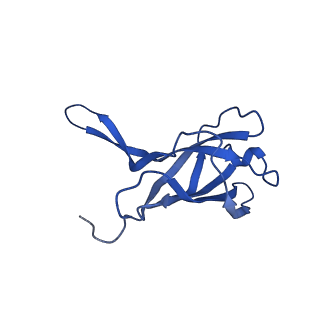 29353_8fop_O_v1-1
Structure of Agrobacterium tumefaciens bacteriophage Milano curved tail