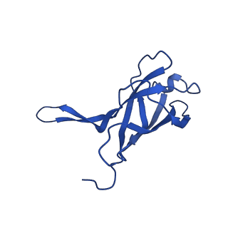 29353_8fop_P_v1-0
Structure of Agrobacterium tumefaciens bacteriophage Milano curved tail