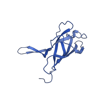 29353_8fop_Q_v1-0
Structure of Agrobacterium tumefaciens bacteriophage Milano curved tail