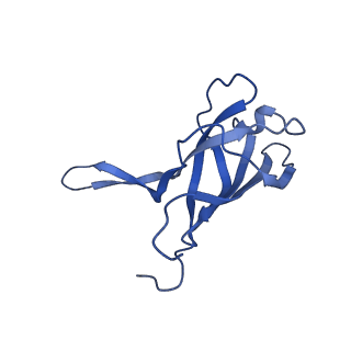 29353_8fop_Q_v1-1
Structure of Agrobacterium tumefaciens bacteriophage Milano curved tail