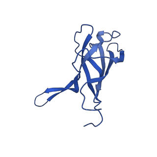 29353_8fop_R_v1-0
Structure of Agrobacterium tumefaciens bacteriophage Milano curved tail