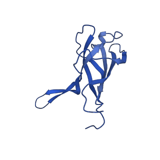 29353_8fop_R_v1-1
Structure of Agrobacterium tumefaciens bacteriophage Milano curved tail