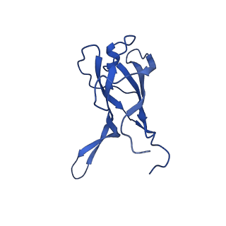 29353_8fop_S_v1-0
Structure of Agrobacterium tumefaciens bacteriophage Milano curved tail