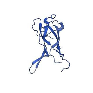 29353_8fop_S_v1-1
Structure of Agrobacterium tumefaciens bacteriophage Milano curved tail