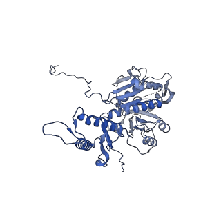 29353_8fop_T_v1-0
Structure of Agrobacterium tumefaciens bacteriophage Milano curved tail