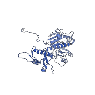 29353_8fop_T_v1-1
Structure of Agrobacterium tumefaciens bacteriophage Milano curved tail