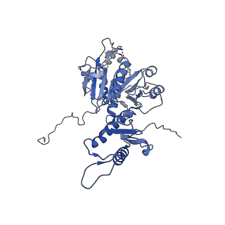 29353_8fop_W_v1-0
Structure of Agrobacterium tumefaciens bacteriophage Milano curved tail