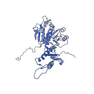 29353_8fop_W_v1-1
Structure of Agrobacterium tumefaciens bacteriophage Milano curved tail