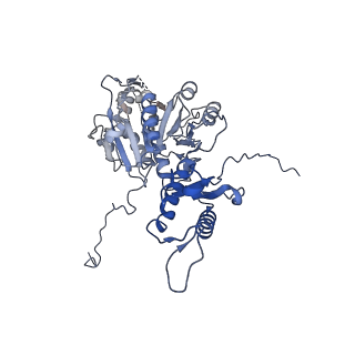 29353_8fop_X_v1-0
Structure of Agrobacterium tumefaciens bacteriophage Milano curved tail
