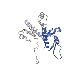 29353_8fop_Z_v1-0
Structure of Agrobacterium tumefaciens bacteriophage Milano curved tail