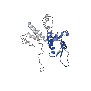 29353_8fop_Z_v1-1
Structure of Agrobacterium tumefaciens bacteriophage Milano curved tail