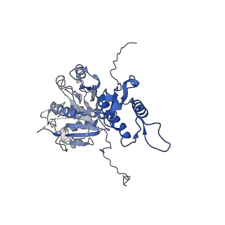 29353_8fop_a_v1-0
Structure of Agrobacterium tumefaciens bacteriophage Milano curved tail