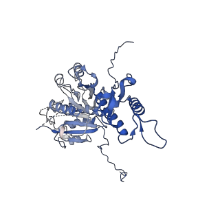 29353_8fop_a_v1-1
Structure of Agrobacterium tumefaciens bacteriophage Milano curved tail