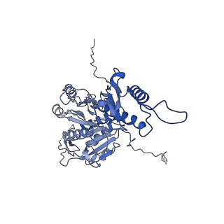 29353_8fop_c_v1-0
Structure of Agrobacterium tumefaciens bacteriophage Milano curved tail
