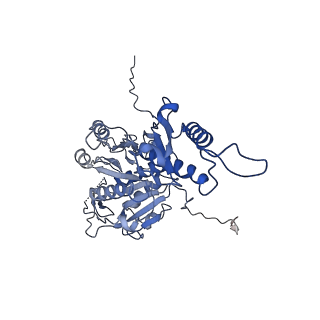 29353_8fop_c_v1-1
Structure of Agrobacterium tumefaciens bacteriophage Milano curved tail