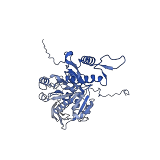 29353_8fop_d_v1-0
Structure of Agrobacterium tumefaciens bacteriophage Milano curved tail