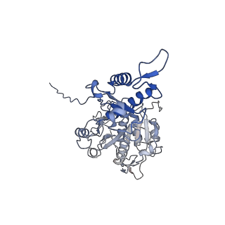 29353_8fop_f_v1-0
Structure of Agrobacterium tumefaciens bacteriophage Milano curved tail